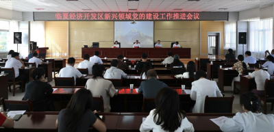 临夏经济开发区新兴领域党的建设工作推进会召开