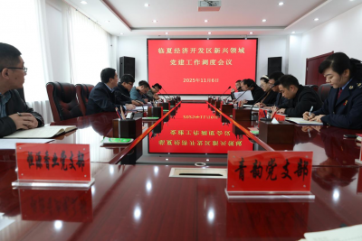 【园区党建】临夏经济开发区召开新兴领域党建 工作调度会