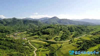 临夏州：以绿为媒聚商机