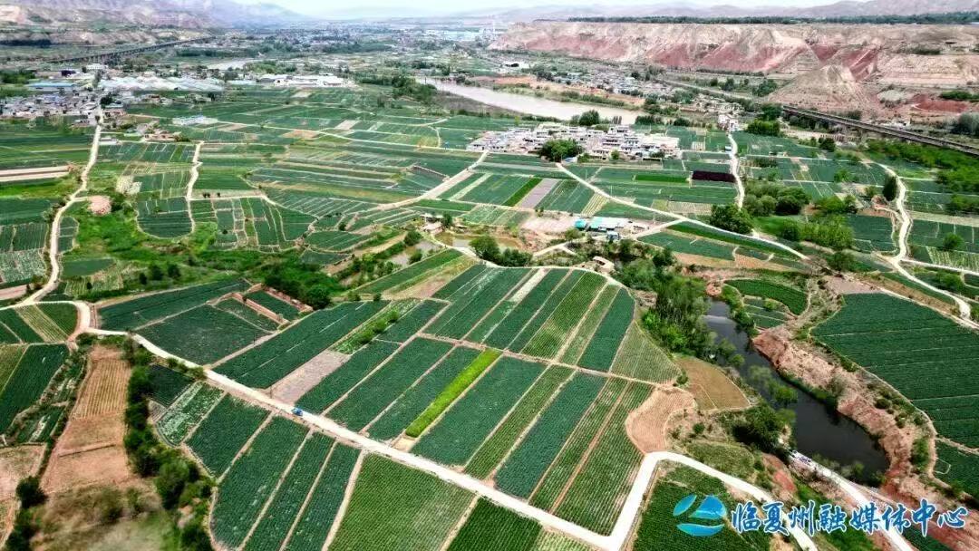 1763001973368941.jpg 1763001973368941.jpg