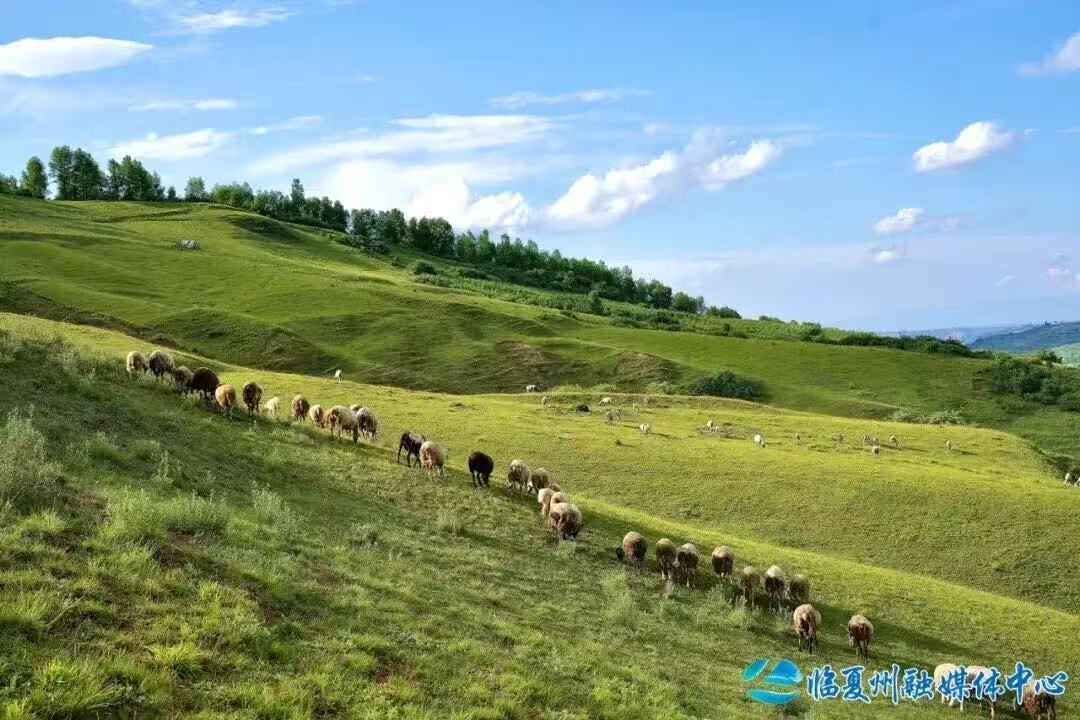 1763002043725492.jpg 1763002043725492.jpg